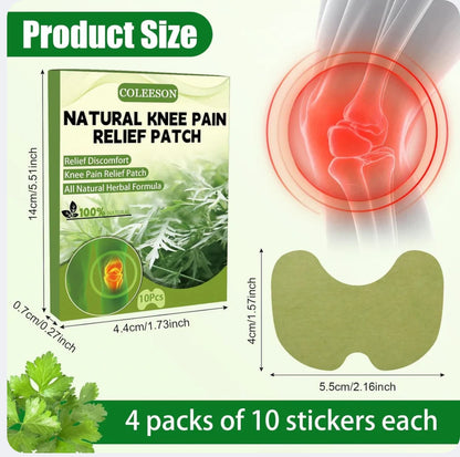 Pain relief Patch Herbal Knee Plaster sticker Knee Pain Relief Patch (36680)